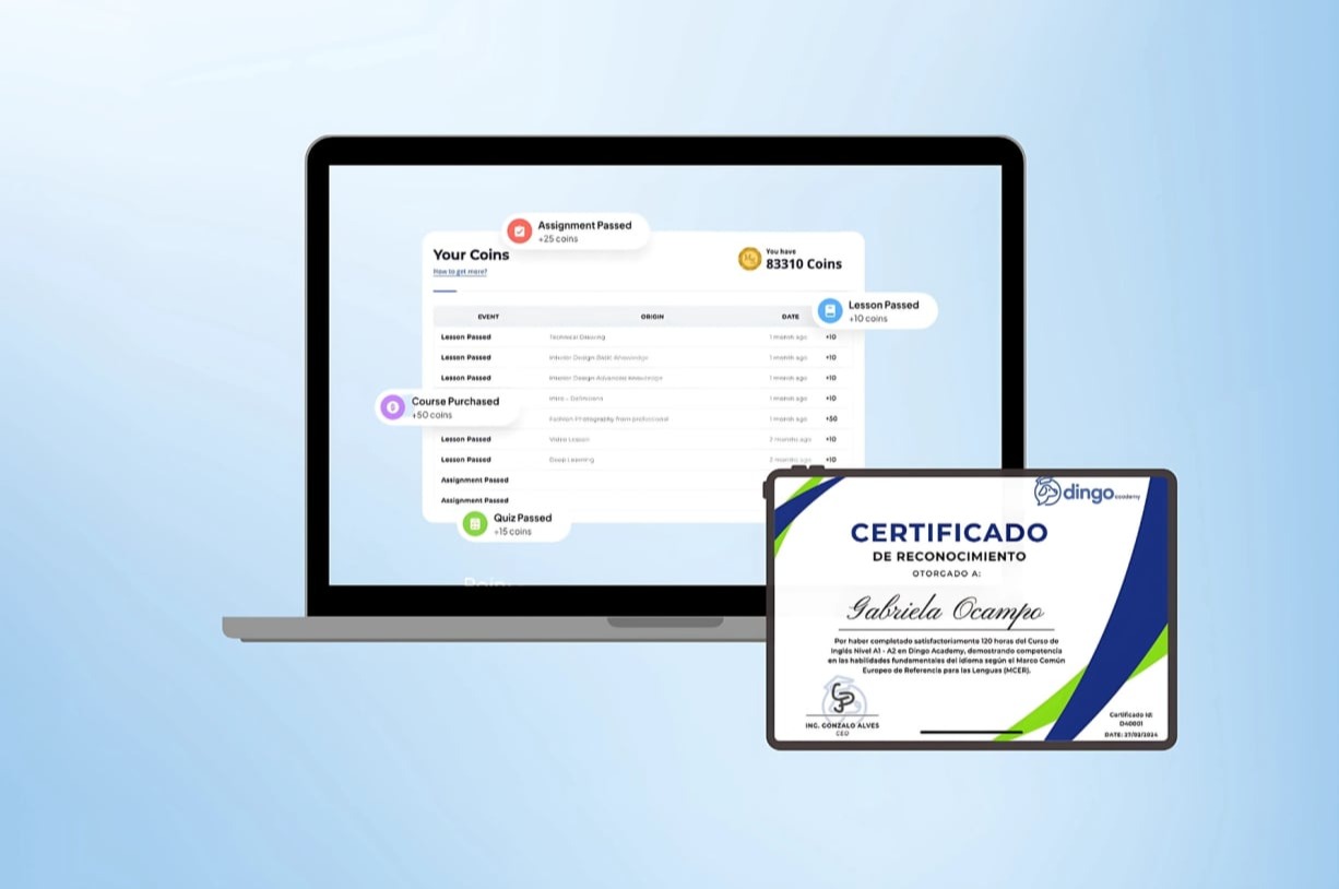 certificados y banner dingo academy