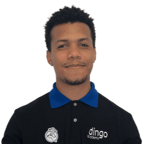 profesor dingo academy