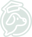 logo dingo png